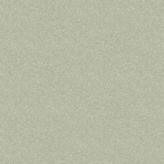 Salix Alba - 7787