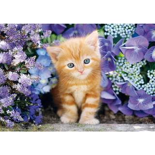 Clementoni Ginger Cat (500)