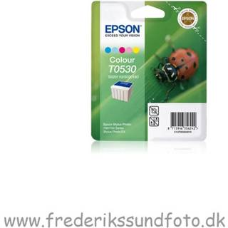 Epson T0530 Color (Udløbsdato 2010)