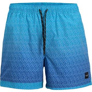 Regular Fit Badeshorts Mini