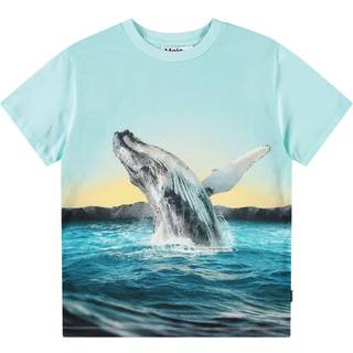 Molo Rame Short Sleeve T-Shirt Whale Jump 116 cm  Blå  116 cm  mand