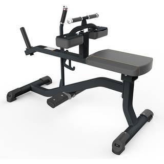 Odin PRO Seated Calf