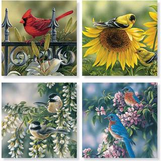 S?t med 4 """" Blandede fugle """" Square Stone Coaster Set af Carson Home Accents