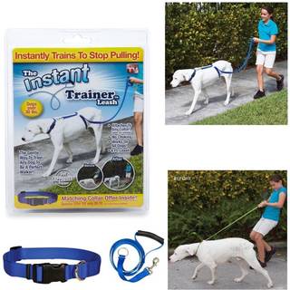 Øjeblikkelig træner hunden snor