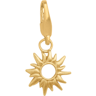 byBiehl Sun Wild Forgyldt Metalblanding Charm