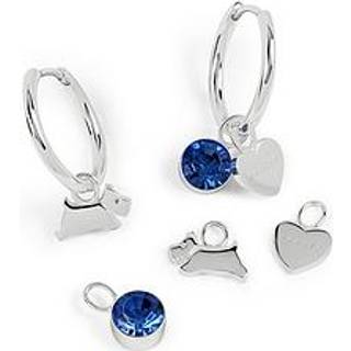 Radley RYJ1545S Silver Tone Hoop Earrings And Charm Set - J81957