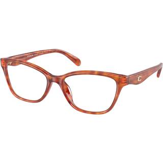 Coach HC6243U 5774 49 Briller Kvinder Tortoiseshell - Tortoise Caramel - 49mm