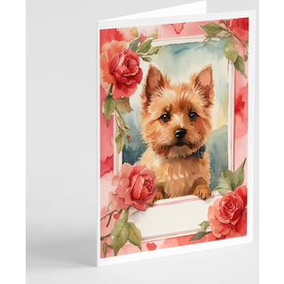 Caroline's Treasures DAC4512GCA7P Norwich Terrier Valentine Roses lykønskningskort Pakke med 8 tomme kort med konvolutter, lunefulde A7 Størrelse
