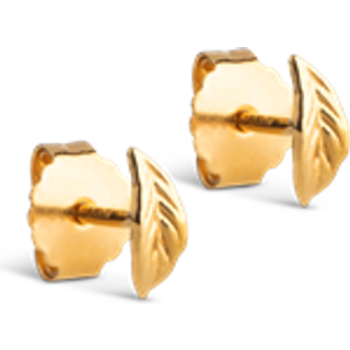 ENAMEL Copenhagen Øreringe - Organic Leaf - Gold Colour