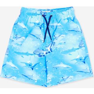 Soliswim Soliswim Blue Beach Shorts