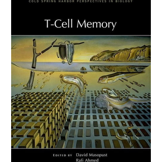 T-Cell Memory