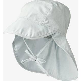 Wheat Solhat Albert - 9429