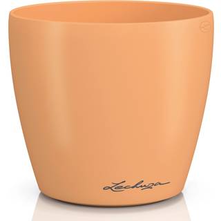 Classico Color Deco - Papaya 12 cm