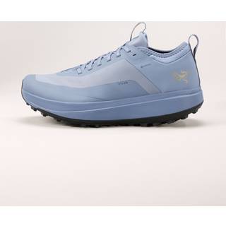 Sylan GTX Shoe Men's