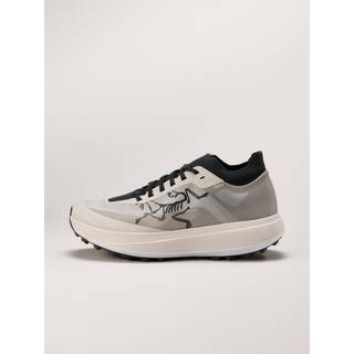Arc'teryx Men's Sylan Pro Rune/rune, 44