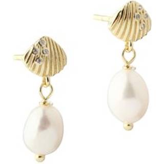 Øreringe Shelly Pearls AQUA DULCE - forgyldt