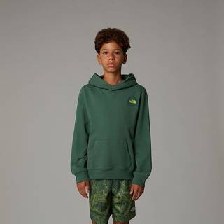 The North Face Boy's Graphic Relaxed Hoodie Hoodie Børn størrelse XL farve grøn