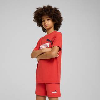 Men's Puma Essentials Colour No.1 Logo Tee Youth, Red, Size 15-16Y, Clothing - Red Fire - 15-16Y
