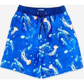 Soliswim Soliswim Blue Beach Shorts