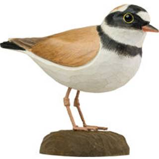 Wildlife Garden Lille Præstekrave - Udendørsliv fra Wildlife Garden