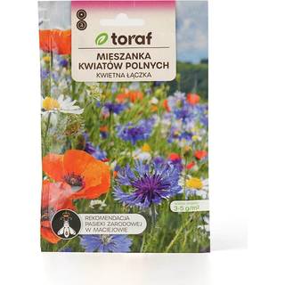 Flower Meadow Seed Mix - skab en farverig og naturlig eng