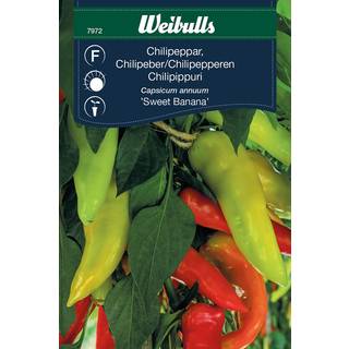 Chilifrø (Chilipeber 'Sweet Banana')