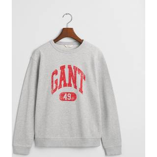 GANT Teens Teens sweatshirt med GANT 49 Arch-tryk (134/140)
