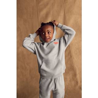 Superdry Superdry Grey Essentials Hoodie