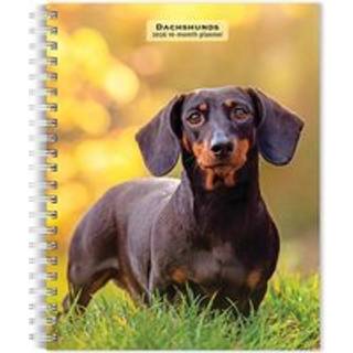Dachshunds 2026 Engagement Diary