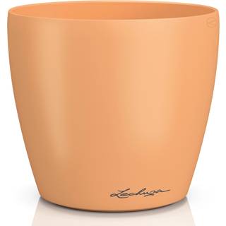 Classico Color Deco - Papaya 14 cm