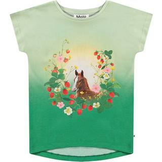 Molo Ragnhilde T-Shirt Beauty 140 cm  Grøn  140 cm  kvinde