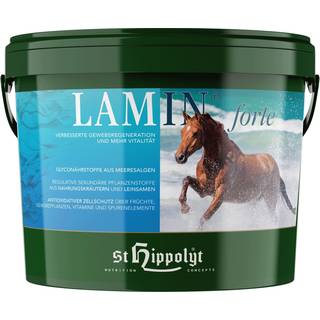 Lamin Forte - 10 kg
