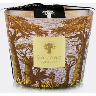 Baobab Collection Sacred Trees Cocody duftlys 10 cm - 10 cm
