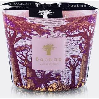 Baobab Collection Candlelight And Scents - 'Sacred Trees Massasso' candle, small, violet in Violet Glass and Wax