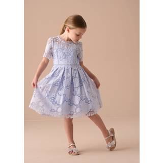 Angel & Rocket Angel & Rocket Blue Mavea Collared Lace Dress