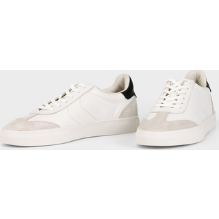 Cody Sneakers