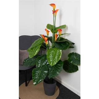 Kunstig Calla Plante - Højde 165 cm - Dekorative og farverige blade - Kunstig blomst