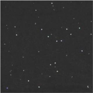 Paper Poetry Seidenpapier Punkte 50x70cm 17g/m² 5 Bogen - Schwarz Irisierend