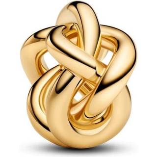 Pandora Charm - Infinity knot - 763755C00 - gold