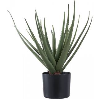 Kunstigt Aloe Vera, 51 cm. høj