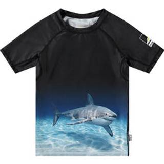 Molo Neptune T-shirt - 3798