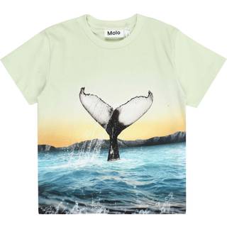 Molo Rame Short Sleeve T-Shirt Whale Tail 92 cm  Blå  92 cm  mand