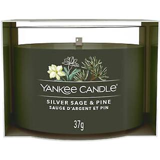 Silver Sage and Pine