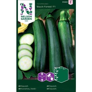Squash 'Black Forest' F1