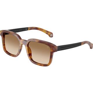 Moncler ME6006 QUADERNA 301189 53 Solbriller Mænd Tortoiseshell - Tortoise Honey - 53mm