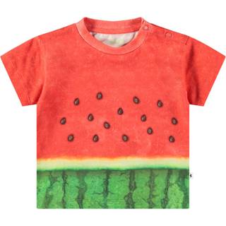 Molo Enzo T-shirt - 9341
