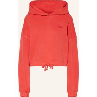 Logo Boxy Cropped Hoody
