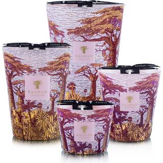 Baobab Collection Candlelight and Scents - 'Sacred Trees Massasso' candle, medium, violet in Violet Glass and Wax