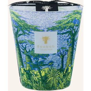 Baobab Collection Candlelight And Scents - 'Sacred Trees Yarani' candle, medium, blue and green in Multicolor Glass and Wax