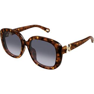 Chloé CH0303SK Asian Fit 002 56 Solbriller Kvinder Tortoiseshell - Tortoise - 56mm